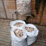 kindling Image 4