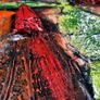 Abstract Liffey, Urban Flow Image 6