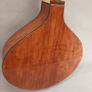 Nyberg Flat-top Mid-Scale Cittern Image 4
