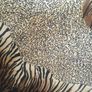 Leopard dress Image 3