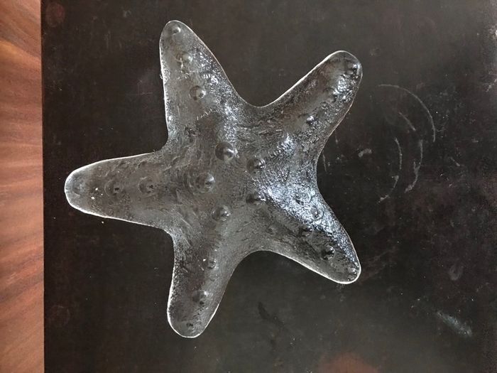 Glass Starfish