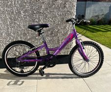 Kids 20 inch alloy bike