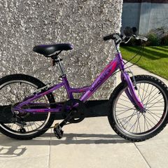 Kids 20 inch alloy bike
