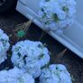flower ball Image 2