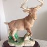 Stag Image 2