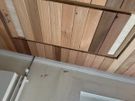 Carpenter Available Image 8