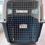 Large IATA Dog Transport Crate 91 cm L x 60 cm W x 74 cm H Image 3