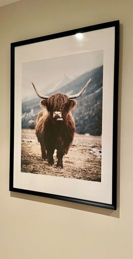 Framed Posters