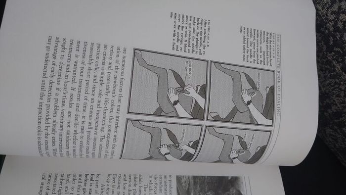 The Complete Book of Foaling : An Illustrated Guide for the Foaling Attendant