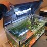 60L fish tank Image 2