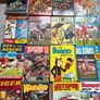 Various Annuals Image 3