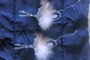 Beautiful ballerina decorations