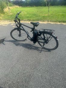 Kalkhoff Electric Bike - Men's
