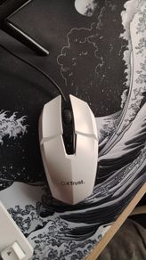 GXT Trust Gaming Mouse