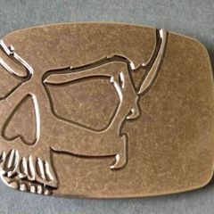 Belt buckle, skull design.