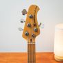 Music Man Stingray 1979-1981 - Sunburst Image 4