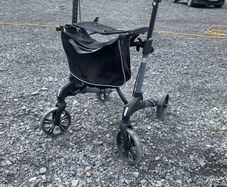 disability walker