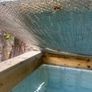 hot tub/cold plunge Image 3