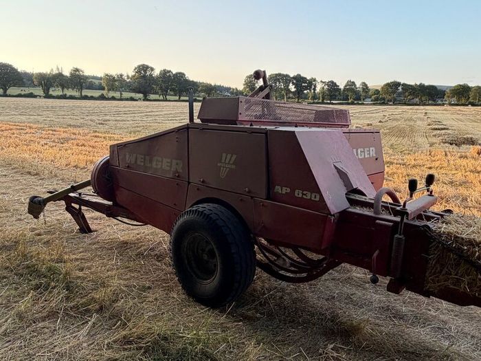 Square Bales Of Premium Quality Hay