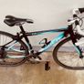 Trek 1.2 WSD Road bike 47cm frem 240 Image 2