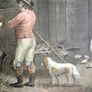 200 Years Old Antique Print Image 5