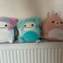 Squishmallows Image 3