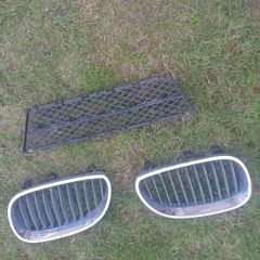 bmw grills