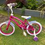 Polly 16 Inch Bike Image 4