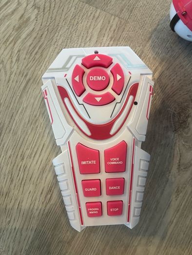 Zoey the Robo Dog