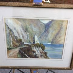 Art - Vintage Watercolour ( P. Darwin)