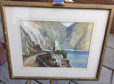 Art - Vintage Watercolour ( P. Darwin)
