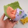 3B Scientific A291 Human Skull 22 part Model Image 4