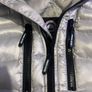 canada goose Image 2
