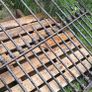 Victorian wrought iron gates Image 9