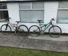 Adult bikes