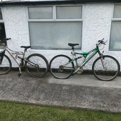 Adult bikes