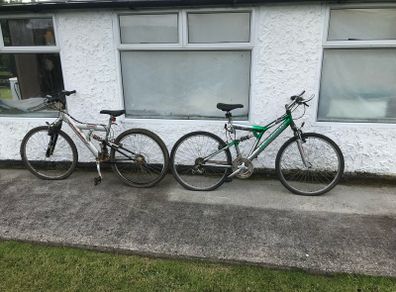 Adult bikes