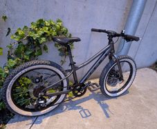 Vitus 20+ Kids Bike (MTB) Dark Grey 20" wheels