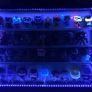 Glass Display Cabinet Image 6