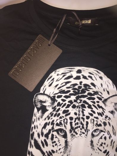 t shirt roberto cavalli size xxl