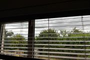 Wooden Venetian blind