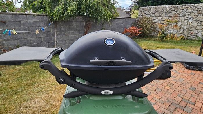 weber Q2200