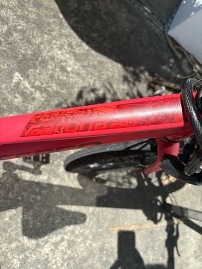 Carrera Saruna 20"