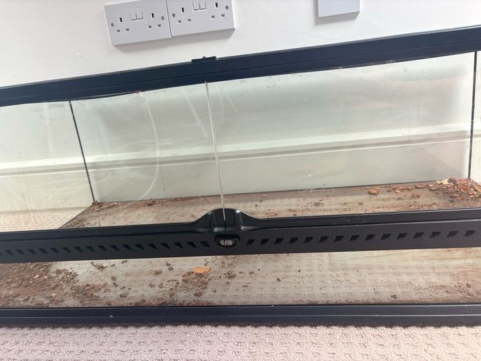 Lizard tank