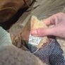 Ugg boots Image 5