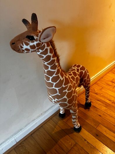 Large giraffe