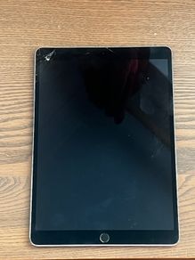 iPad Pro 10.5 1st Gen 256gb + Case