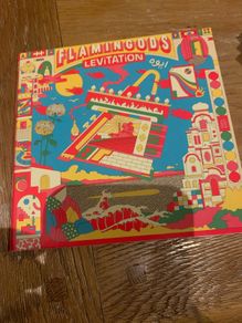 Flamingods - Levitation