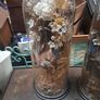 Antique Taxidermy Image 2