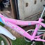 childs bicycle Image 3